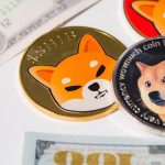 multiple meme coins such as doge coin and shiba coin